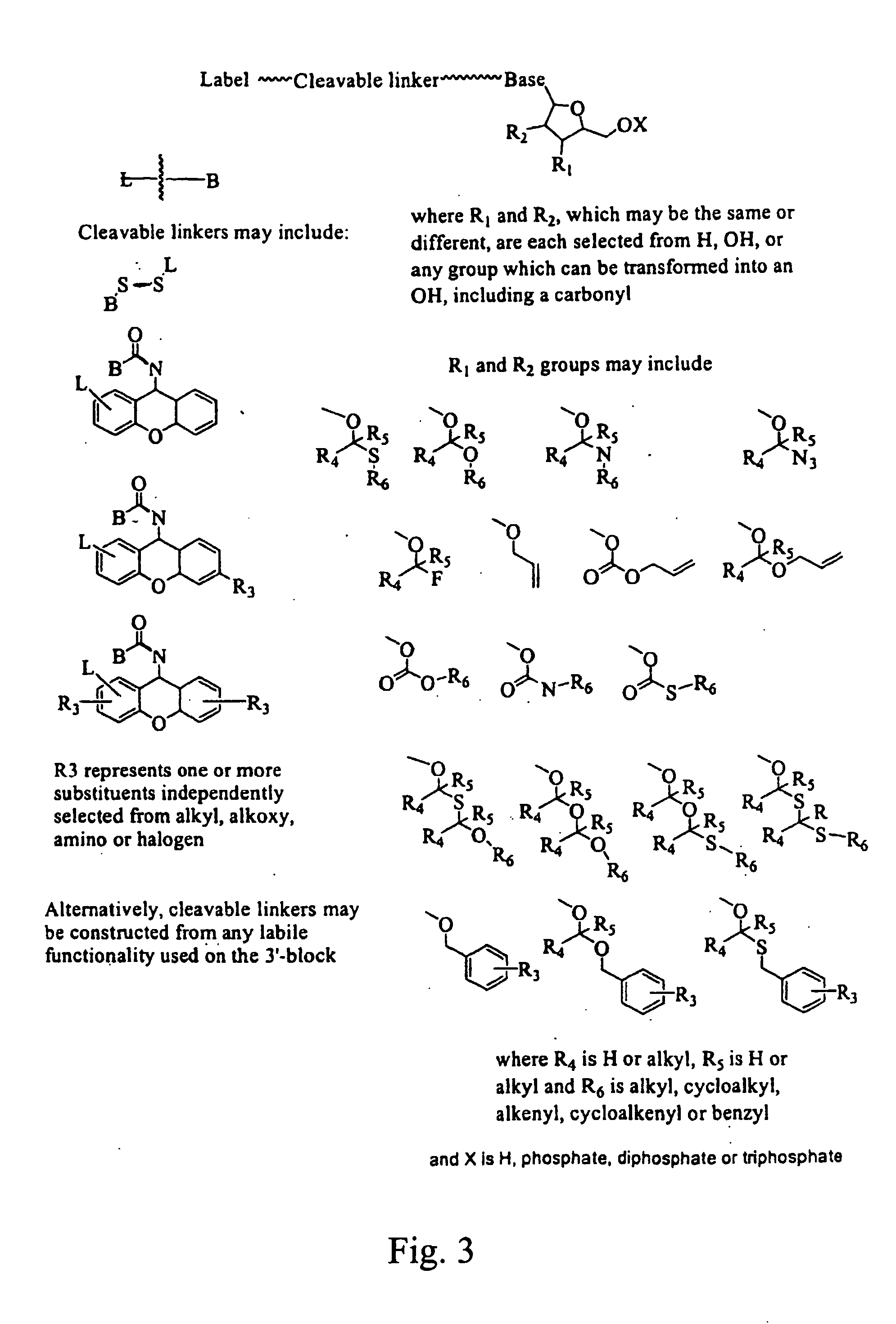 Labelled nucleotides