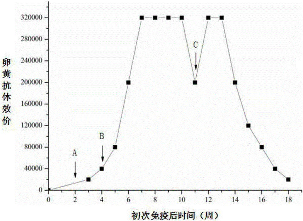 Vibrio-splendidus-resistant egg yolk antibody and preparation method thereof