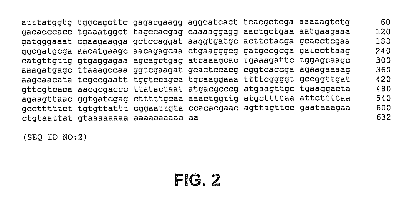 Methods, devices, kits and compositions for detecting roundworm