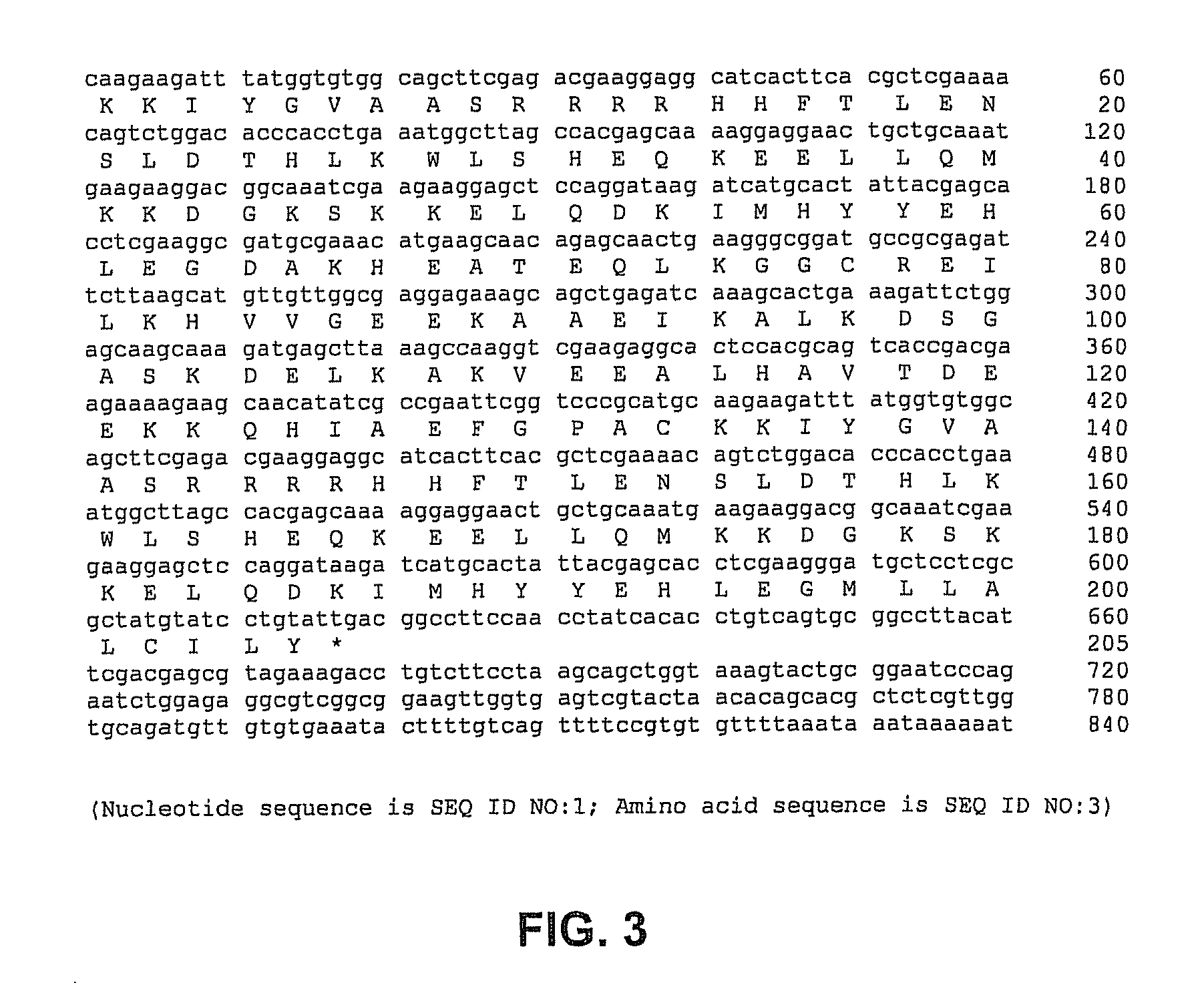 Methods, devices, kits and compositions for detecting roundworm