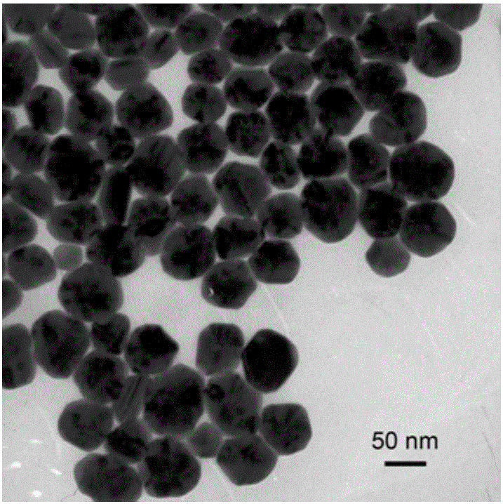 A kind of preparation method of silver-zinc oxide nanocomposite structure