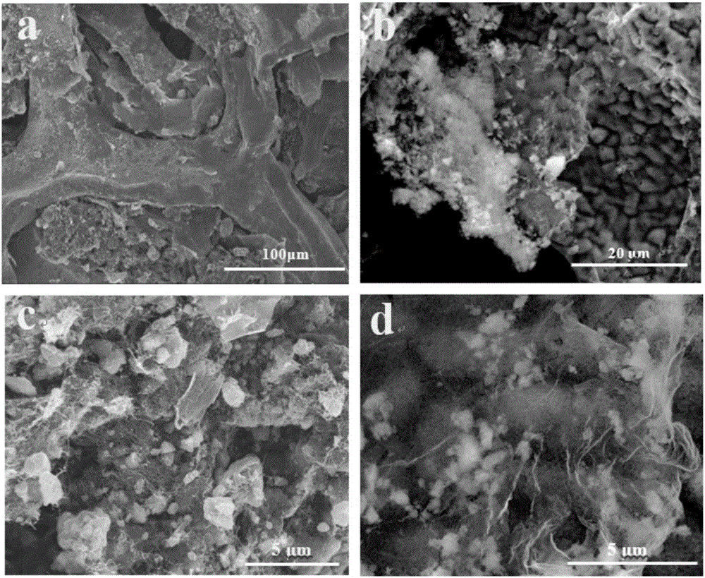 Carbon nanotube/graphene/silicon composite lithium battery negative electrode material and preparation method therefor