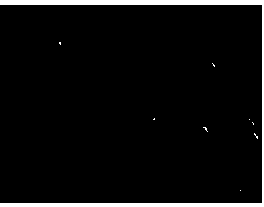 Chitosan/lithium chloride composite membrane, preparation method and applications thereof