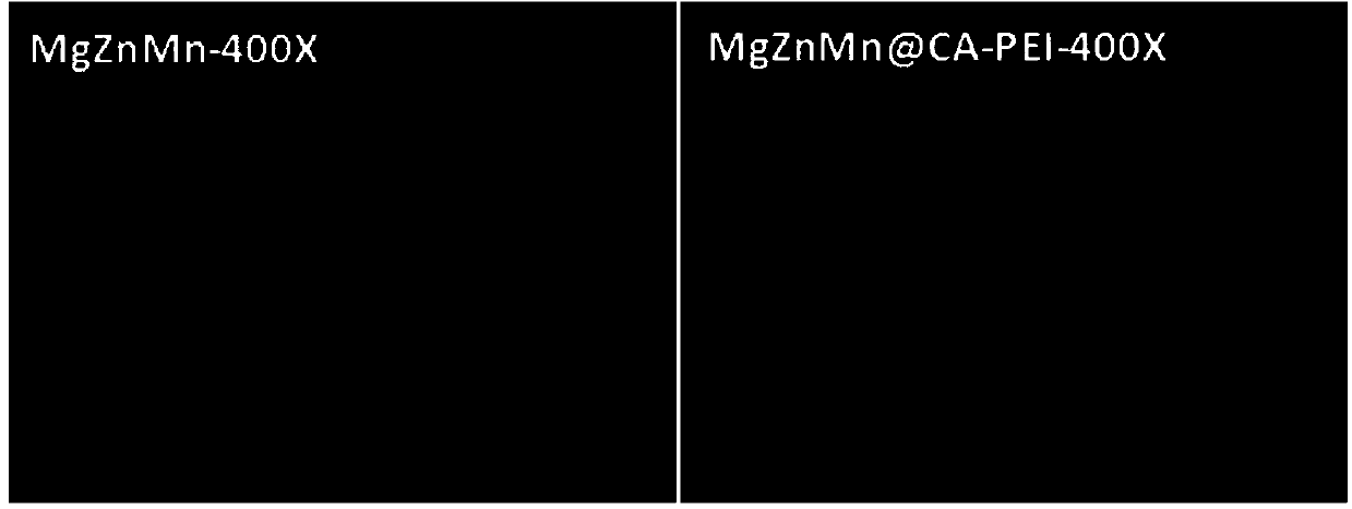 Modification method for improving corrosion resistance and surface functionalization of biomedical magnesium-based metal material