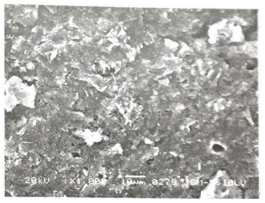 Concrete sulfur-resistant anti-rust corrosion-resistant compacting agent and preparation method thereof