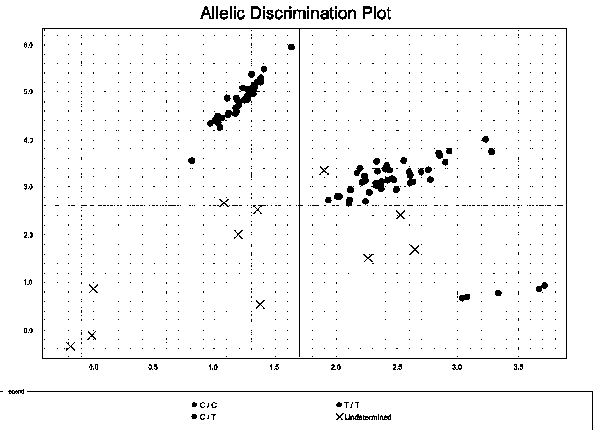 Primer composition, reagent, detection method and system for realizing accurate typing of vitamin D receptor Fok1 site based on probe method