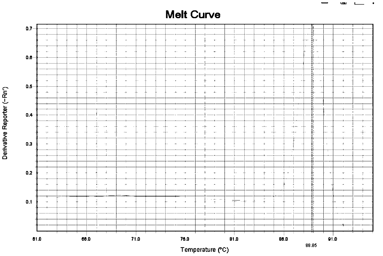 Primer composition, reagent, detection method and system for realizing accurate typing of vitamin D receptor Fok1 site based on probe method