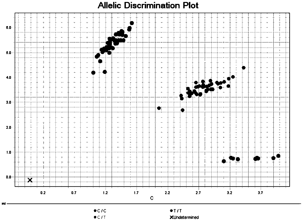 Primer composition, reagent, detection method and system for realizing accurate typing of vitamin D receptor Fok1 site based on probe method