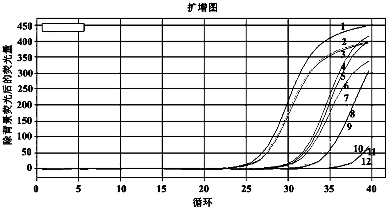 qRT-PCR for detection of rice black-streaked dwarf virus and its application