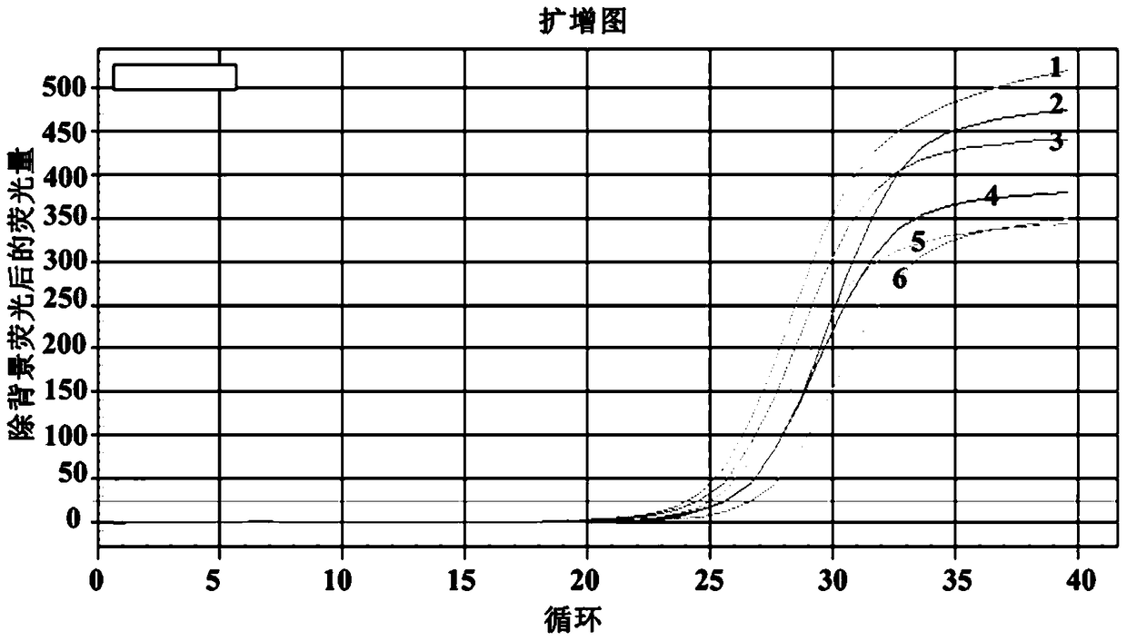 qRT-PCR for detection of rice black-streaked dwarf virus and its application