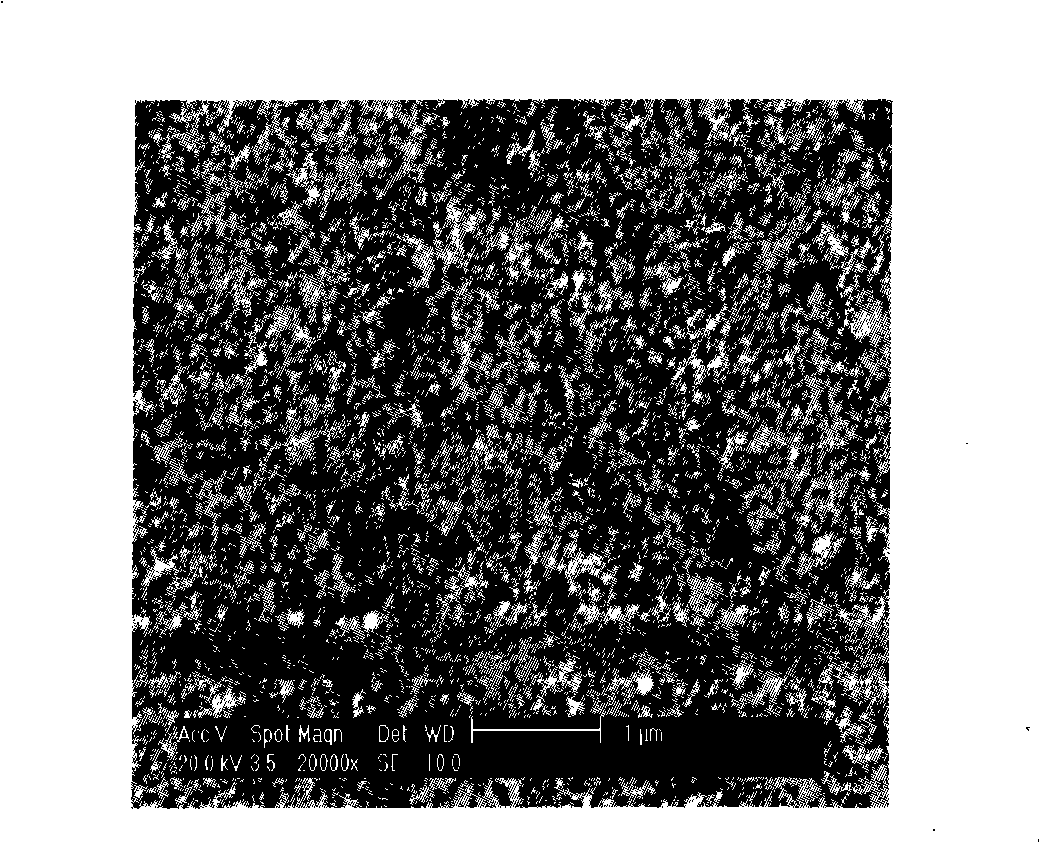 Platinum alloy electrode and method for producing the same