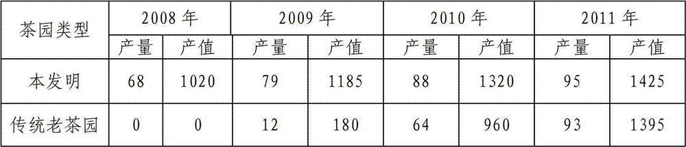 Tea garden planting method