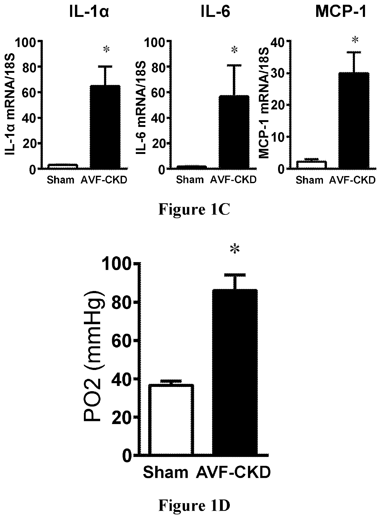 Methods and materials for improving arteriovenous fistula maturation and maintaining arteriovenous fistula functionality