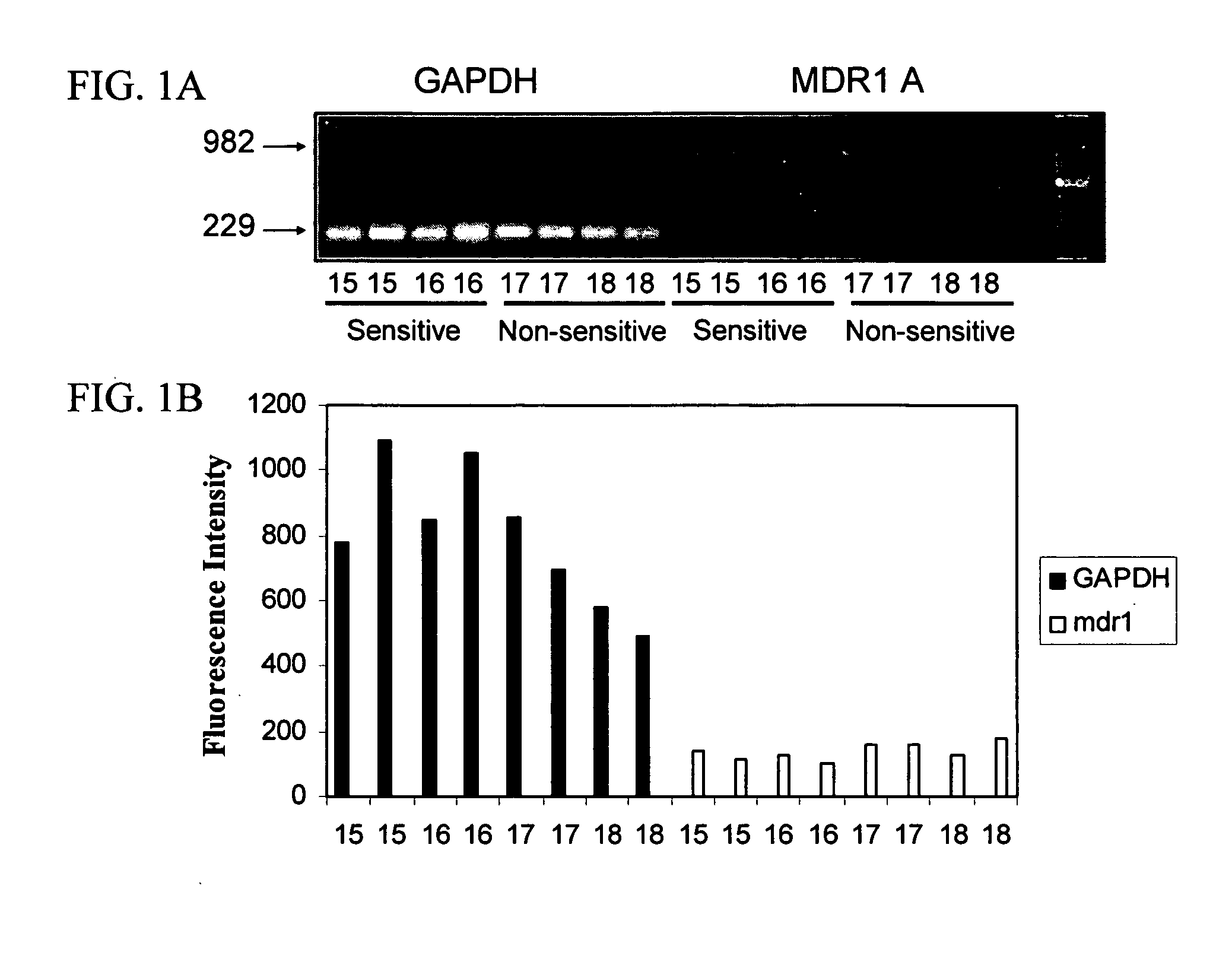 Mdr1 variants and methods for their use