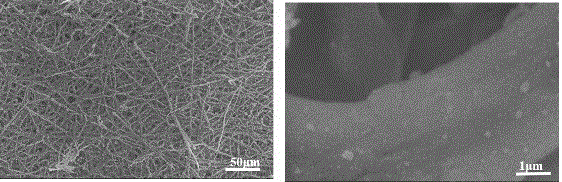 Preparation method and application of egg shell membrane composite nano-silver thin film used for artificial skin