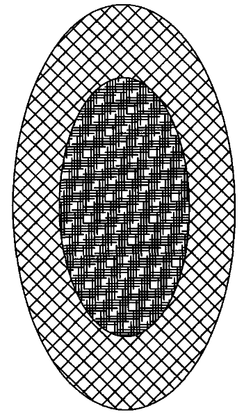 Externally used medical ointment for treating dermatosis, uses, preparation method and apparatus thereof