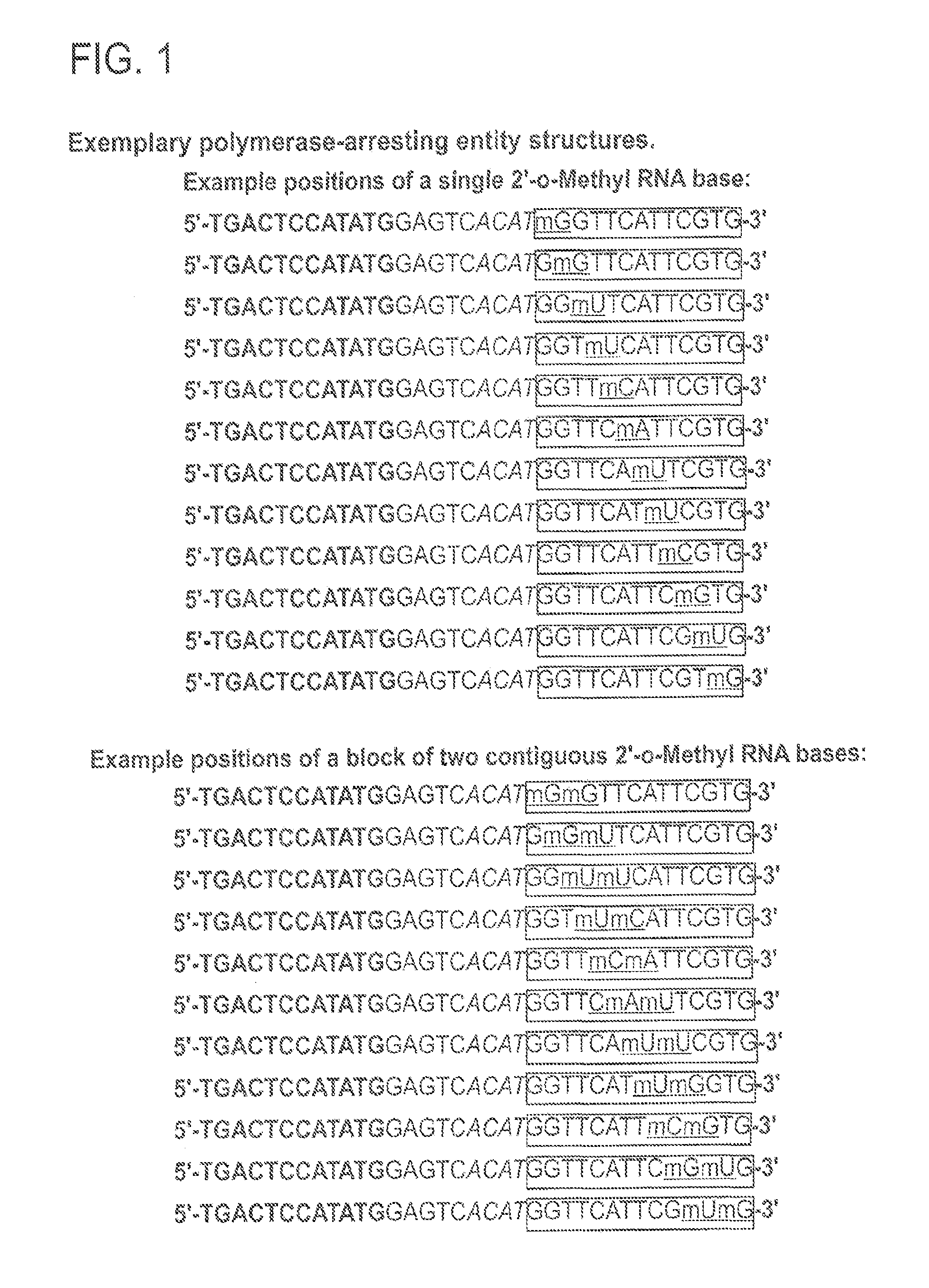 Compositions and methods quantifying a nucleic acid sequence in a sample