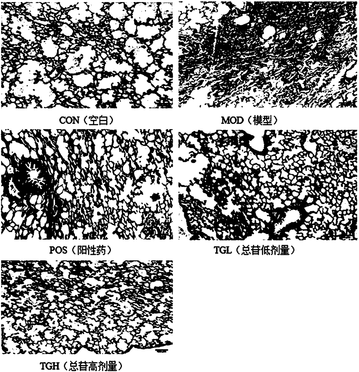 Preparation method and applications of high purity cistanche phenyl ethanol glycosides