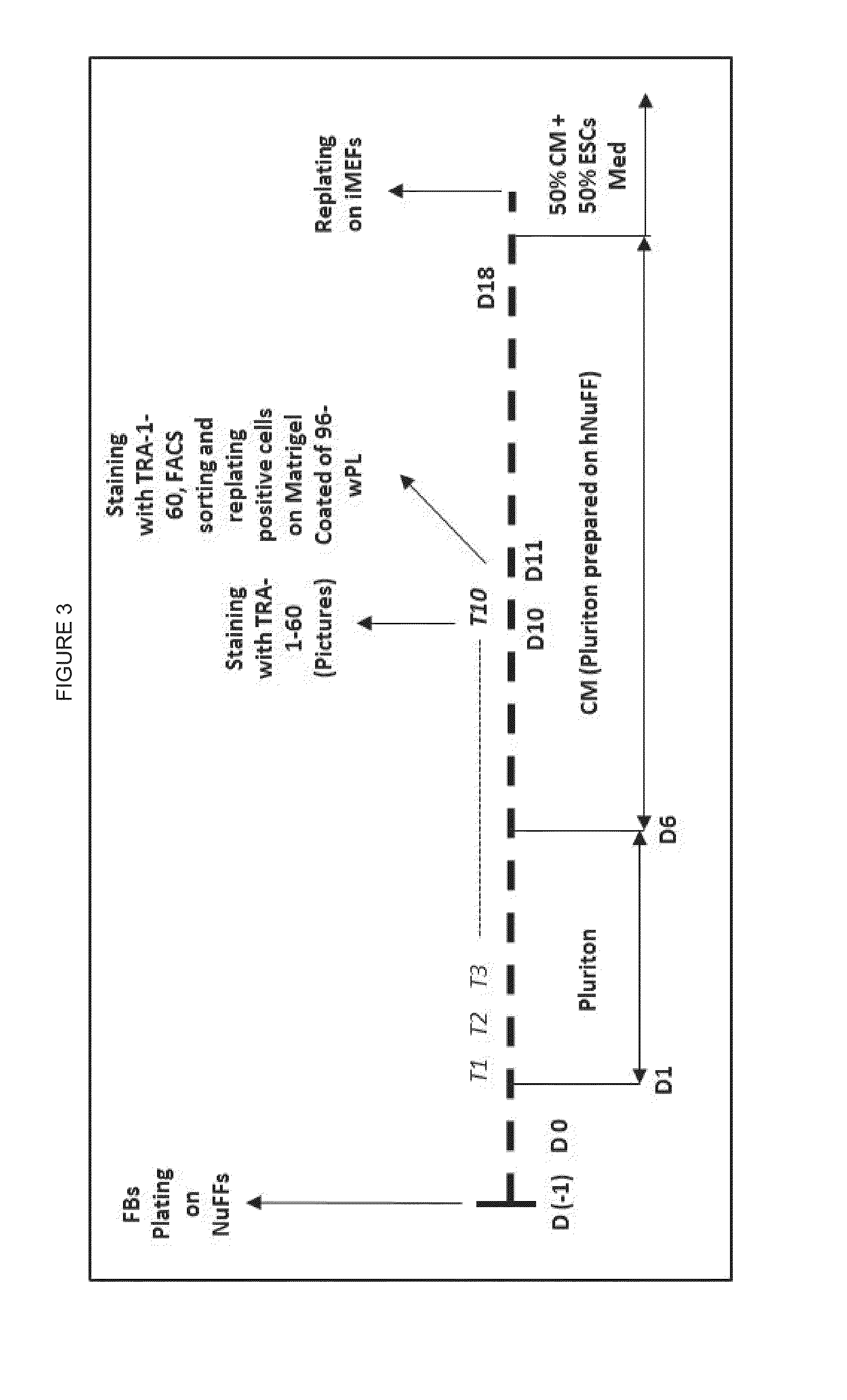 ACTIVATION OF INNATE IMMUNITY FOR ENHANCED NUCLEAR REPROGRAMMING OF SOMATIC CELLS WITH mRNA