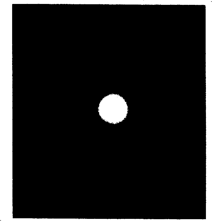 Adjustment device for eliminating offset error of tiled grating