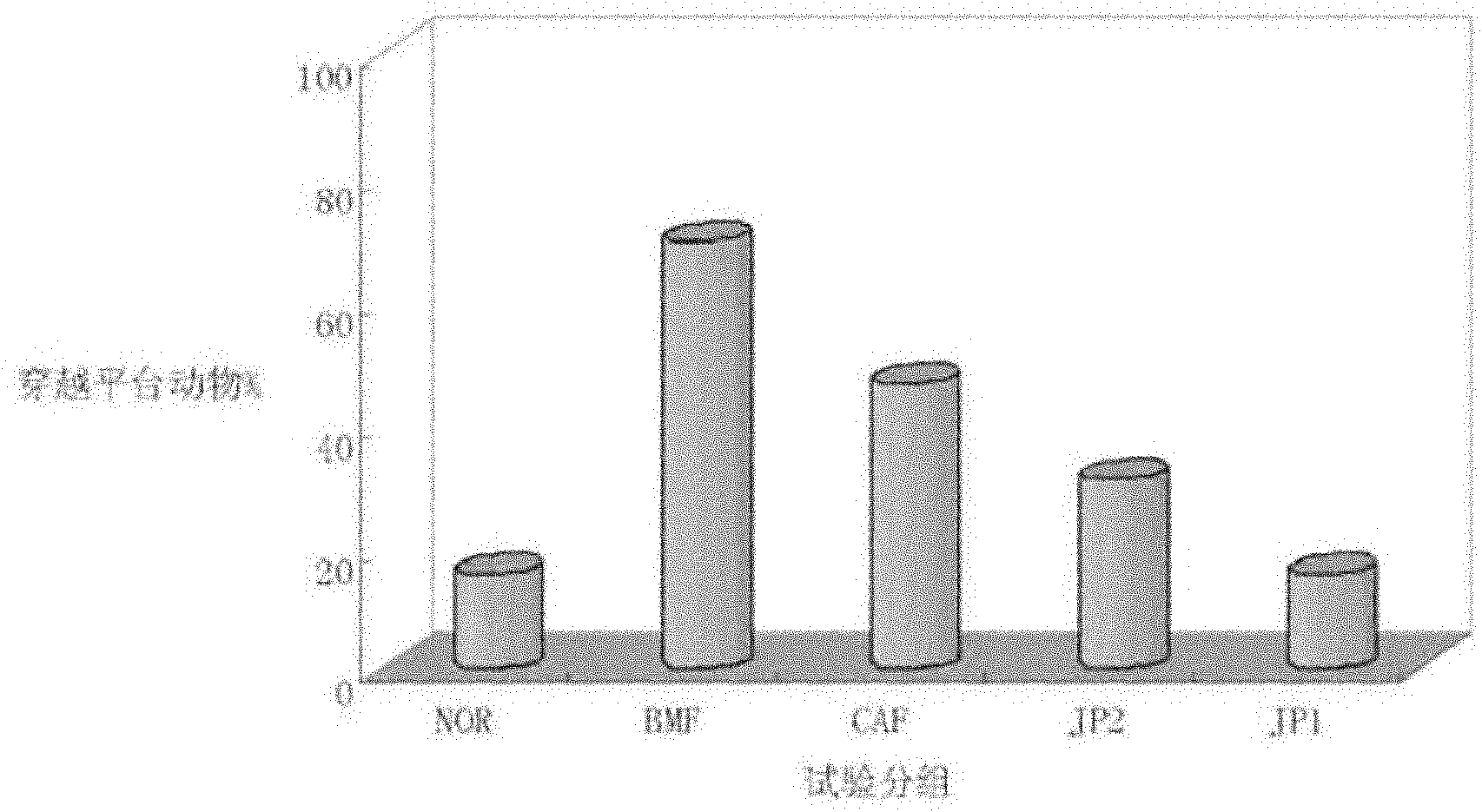 Composition with functions of relieving physical fatigue and improving memory as well as preparation method and application thereof