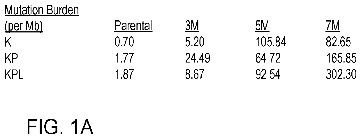 Combination cancer therapy agents and methods