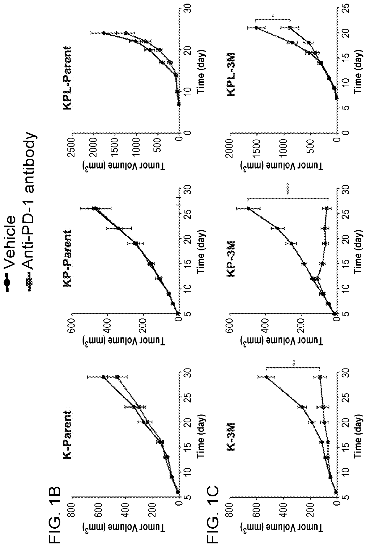 Combination cancer therapy agents and methods