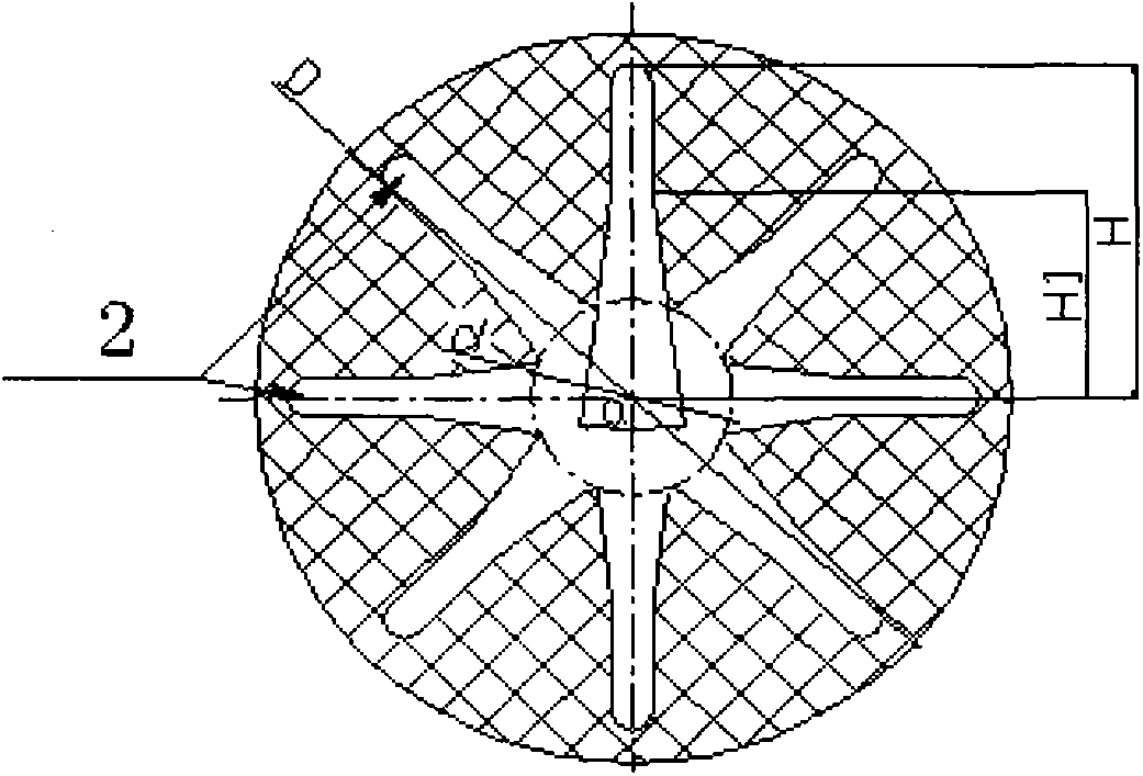 Charging grain structure of solid rocket engine