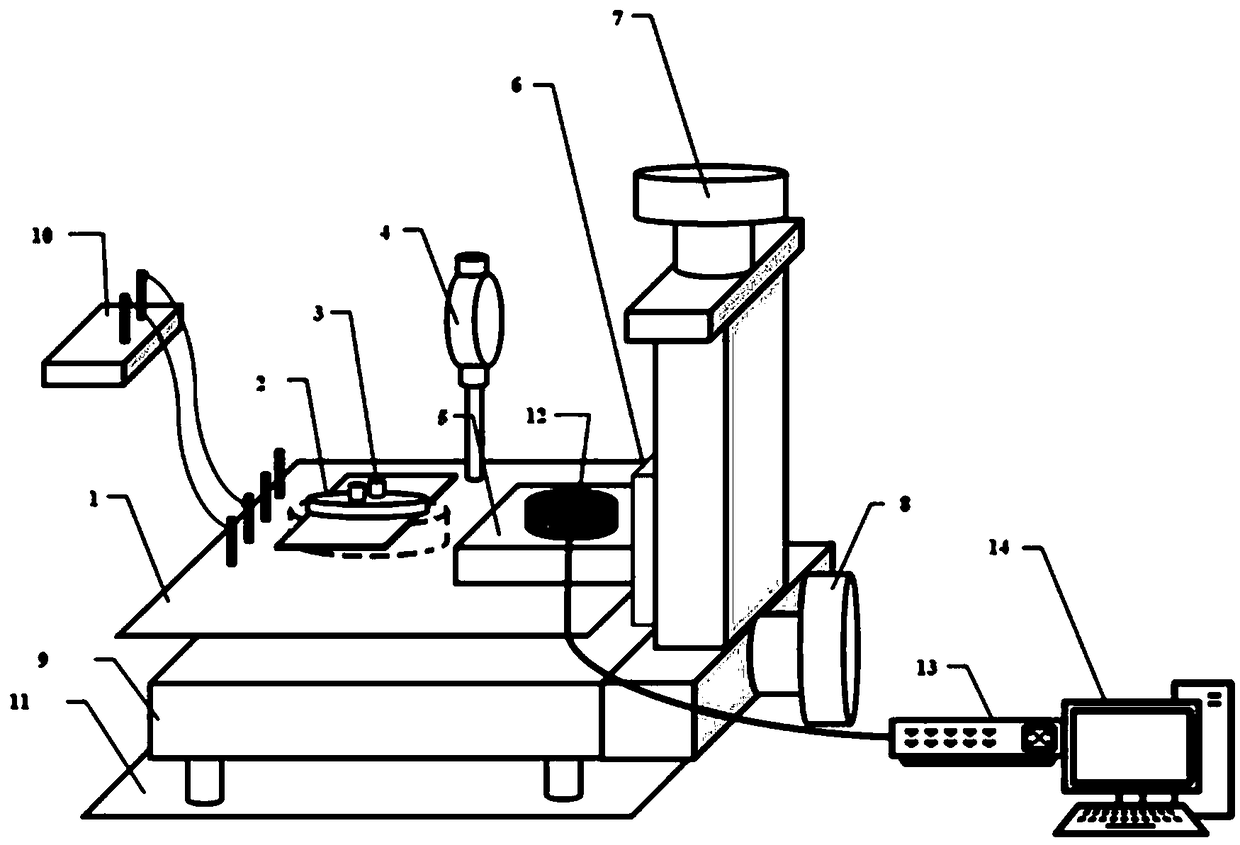 Artificial cochlea implant chip function test platform