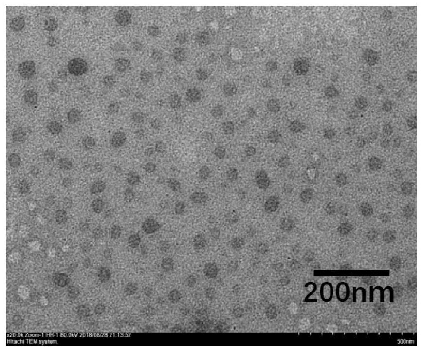 Preparation and application of an ultra-bright fluorescent carbon dot