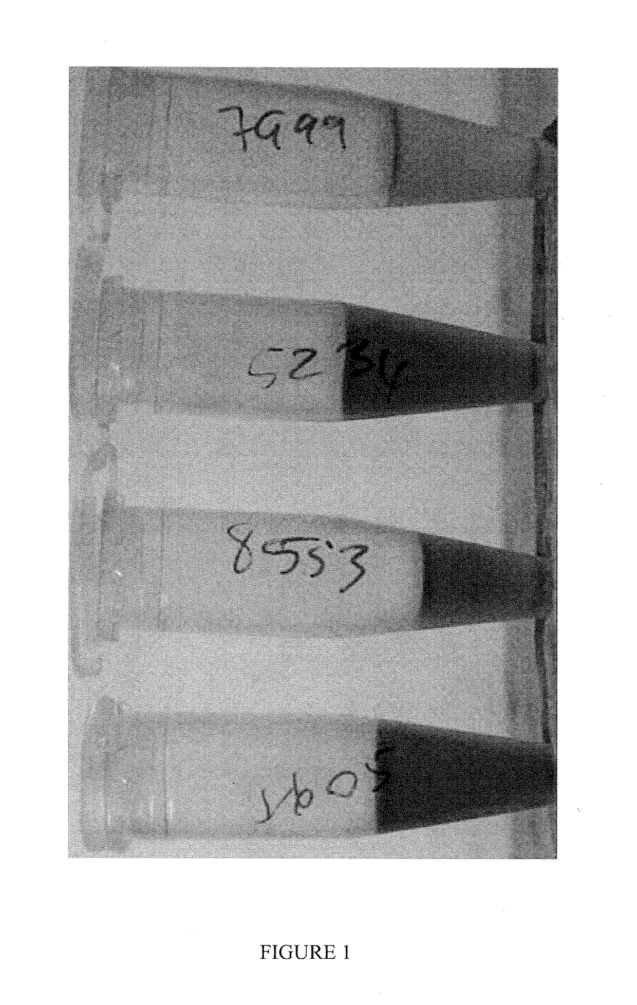 Method of modifying the immune response