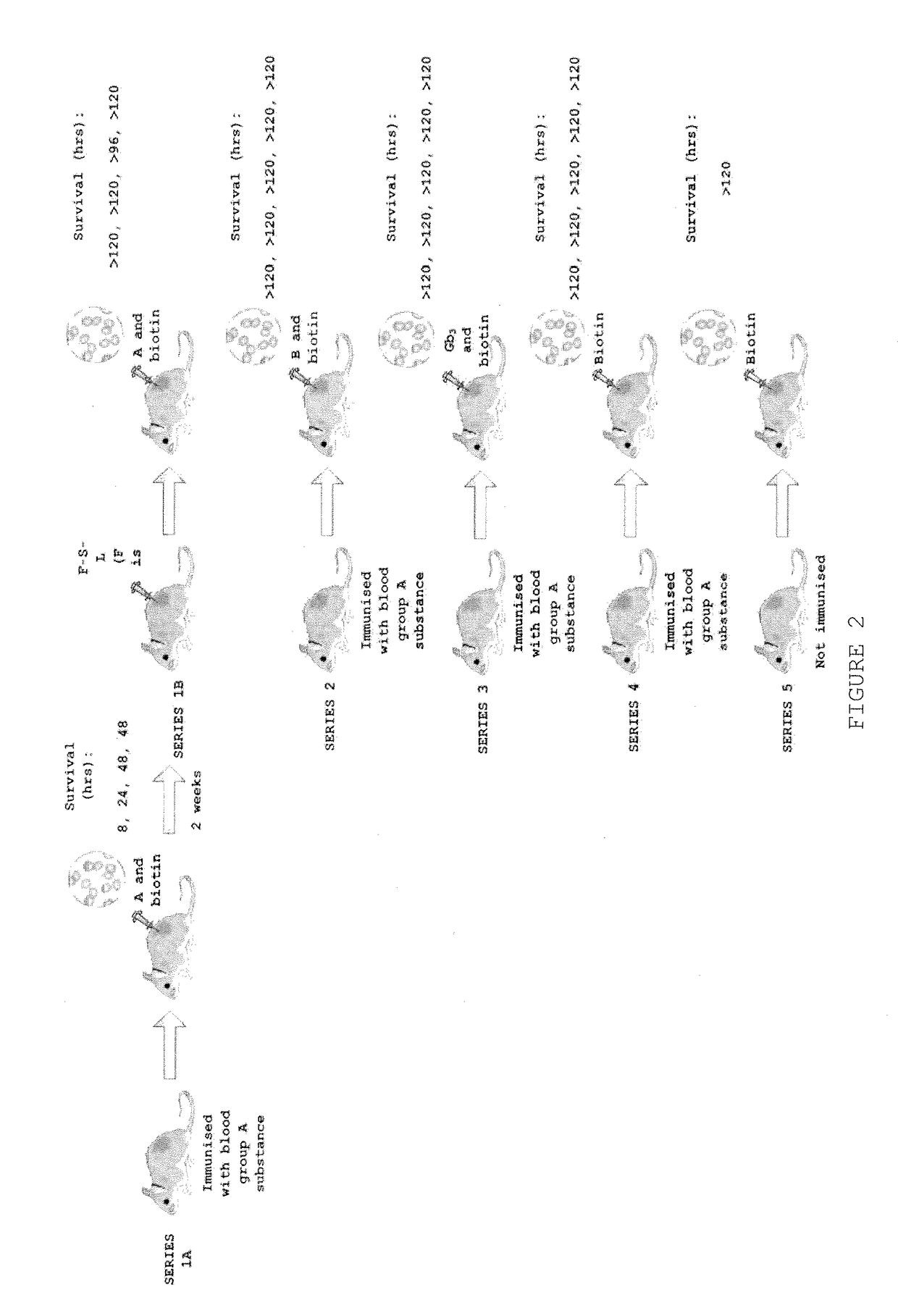 Method of modifying the immune response