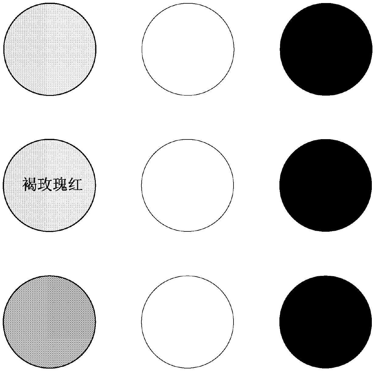 Augmented reality system and method capable of assisting color recognition