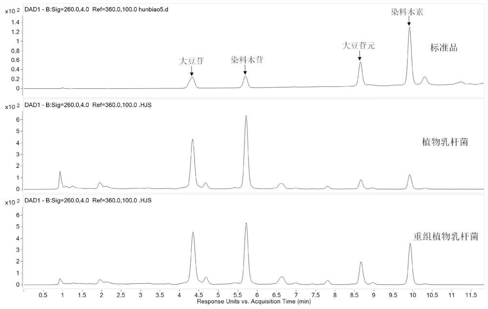 Preparation method of fermented beverage rich in soybean isoflavone aglycone