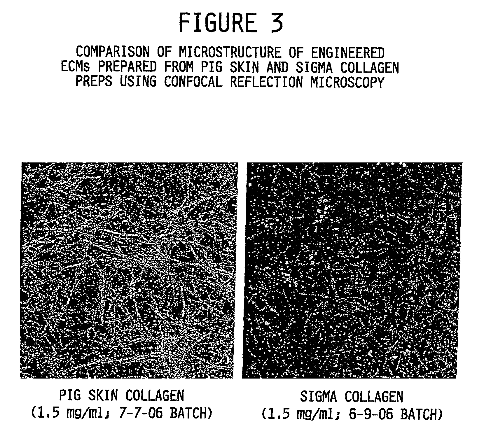 Collagen preparation and method of isolation