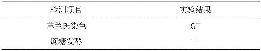 Pseudomonas pseudoalcaligenes and application of pseudomonas pseudoalcaligenes to preparation of sitagliptin intermediate