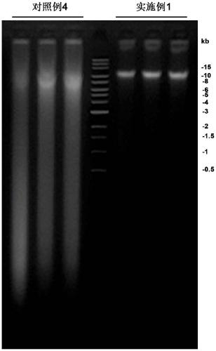 De-host extraction kit for phlegm macrogenome