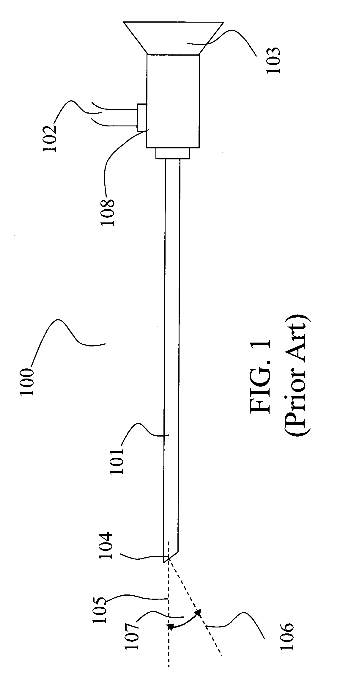 Disposable endoscope and portable display