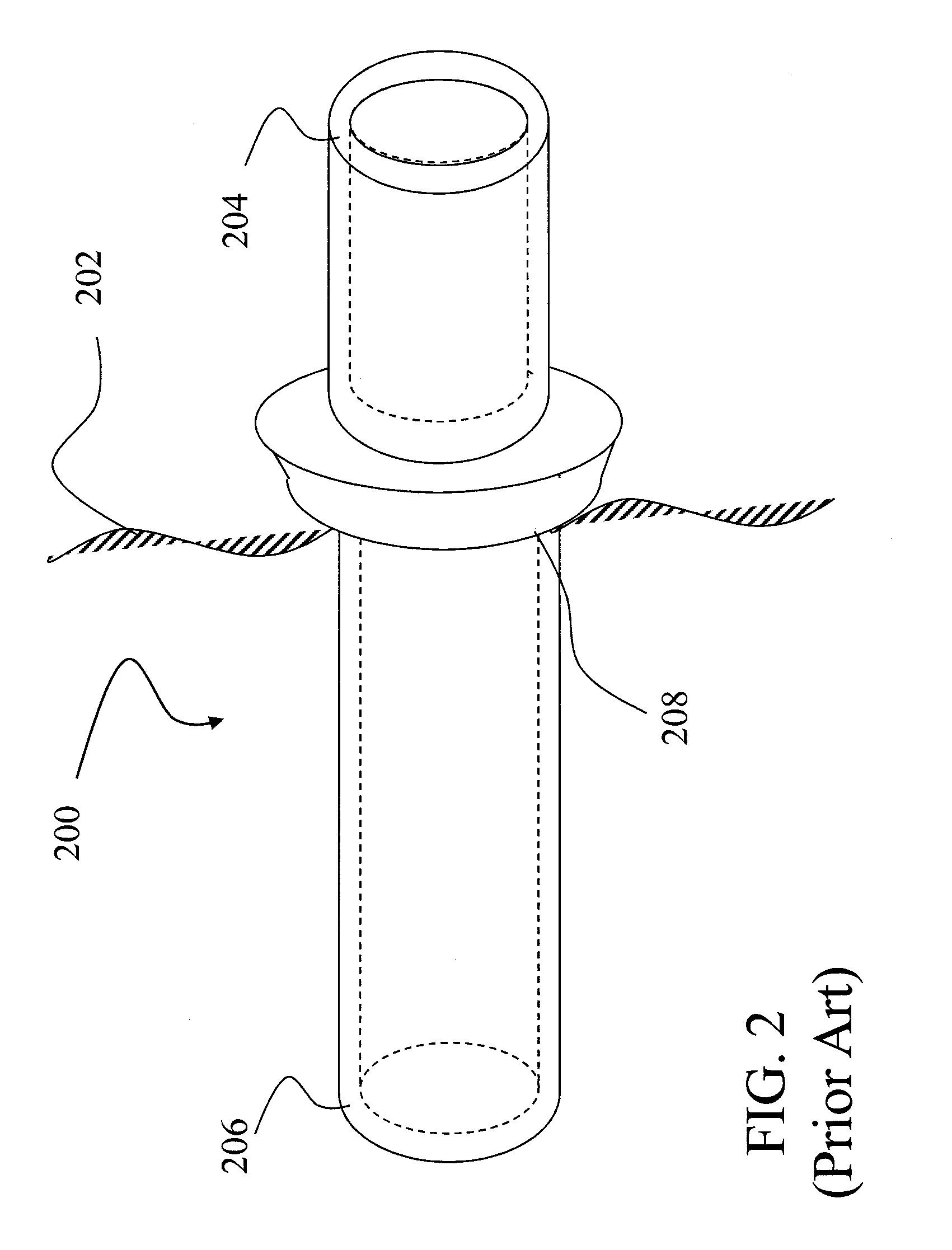 Disposable endoscope and portable display