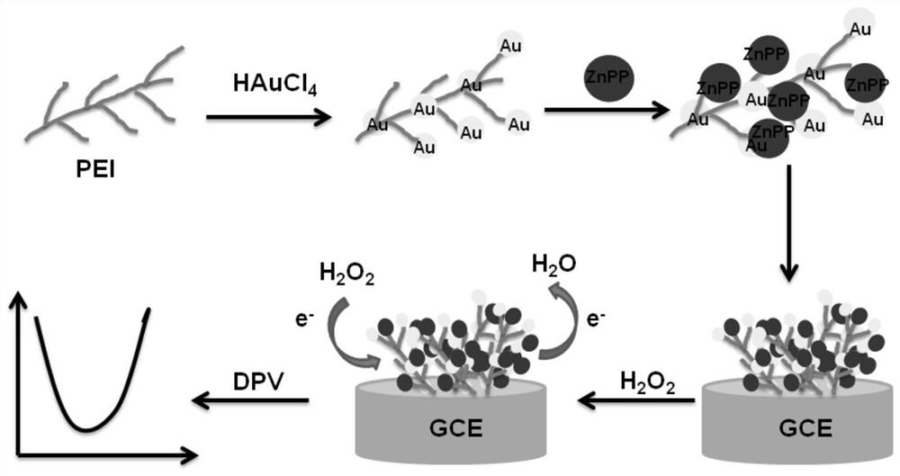 Nano gold-protoporphyrin zinc (ii) highly sensitive detection h  <sub>2</sub> o  <sub>2</sub> Construction and Application of Electrochemical Sensors