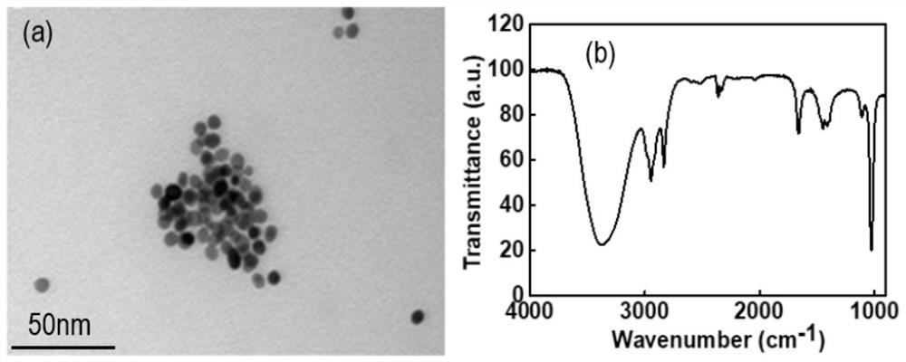 Nano gold-protoporphyrin zinc (ii) highly sensitive detection h  <sub>2</sub> o  <sub>2</sub> Construction and Application of Electrochemical Sensors