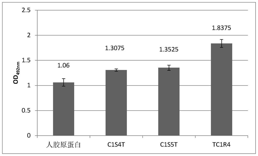 Recombinant I-type humanized collagen polypeptide as well as preparation method and application thereof