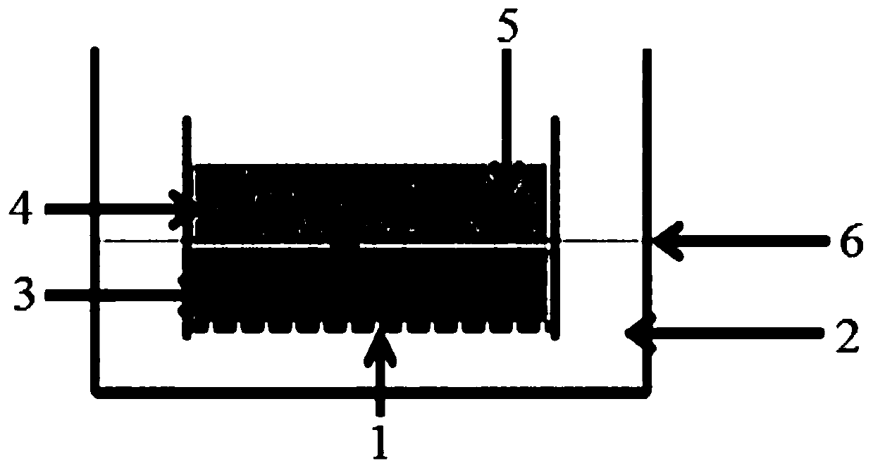 Method for culturing bladder cancer organs in vitro