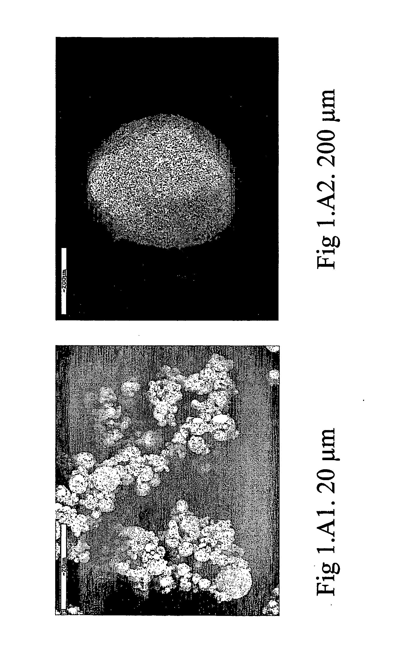 Powder for nasal administration of drugs