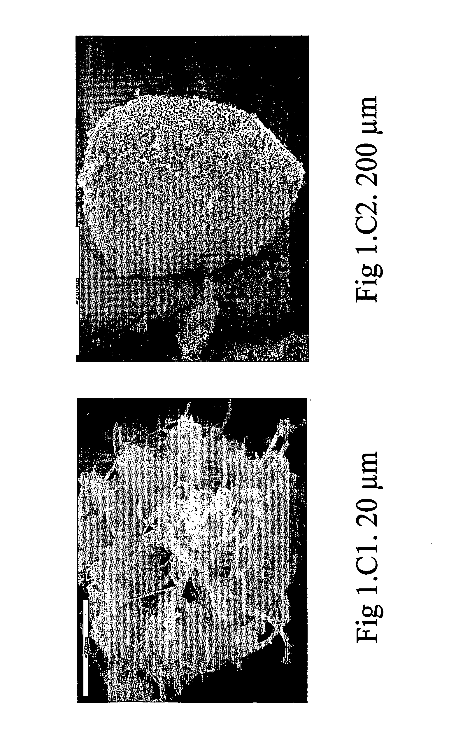 Powder for nasal administration of drugs