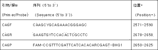 Method for detecting CA6 virus with real-time fluorescent quantitative PCR