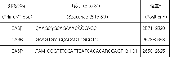 Method for detecting CA6 virus with real-time fluorescent quantitative PCR