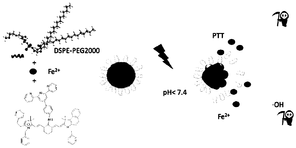 Nano diagnosis and treatment agent and preparation method and application thereof