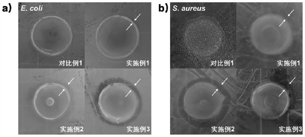 Antibacterial healing-promoting hydrogel dressing as well as preparation method and application thereof