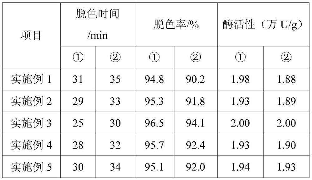 A kind of decolorizing resin for lactase and preparation method thereof